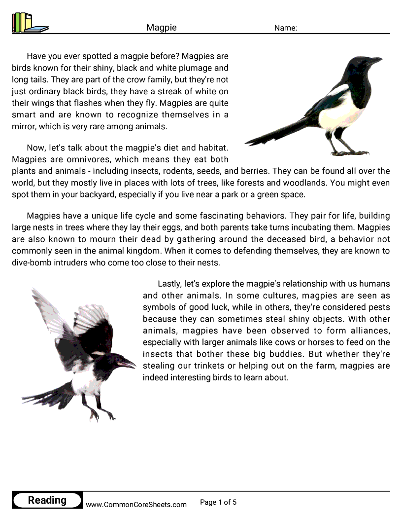 Reading Comprehension Birds Worksheets - Magpie worksheet