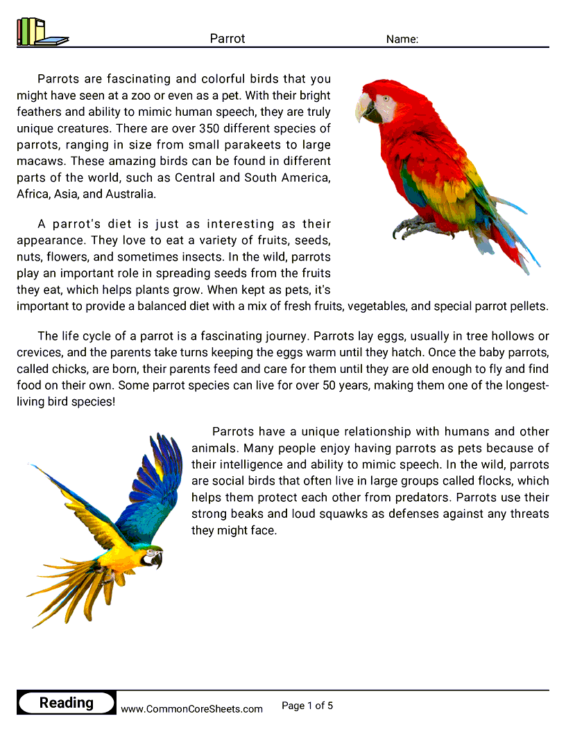Reading Comprehension Birds Worksheets - Parrot worksheet