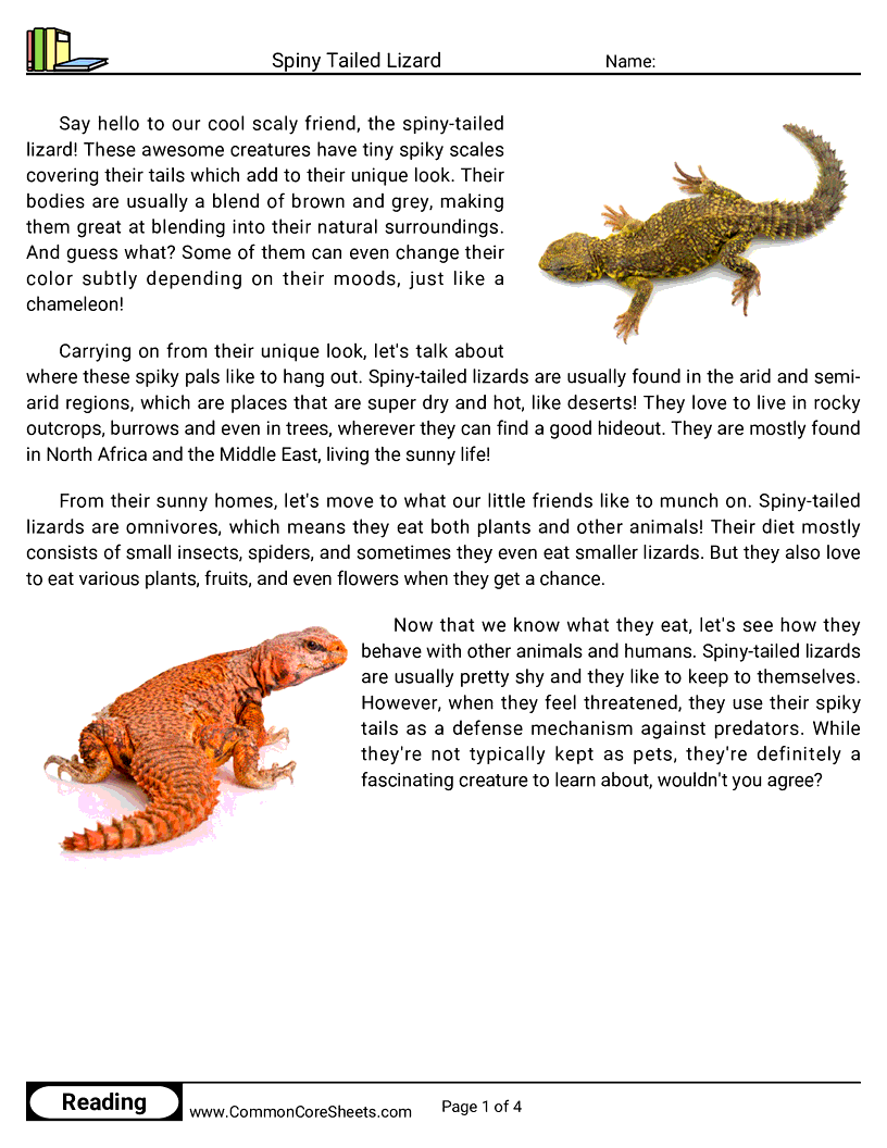 Reading Comprehension Reptiles - Spiny Tailed Lizard worksheet