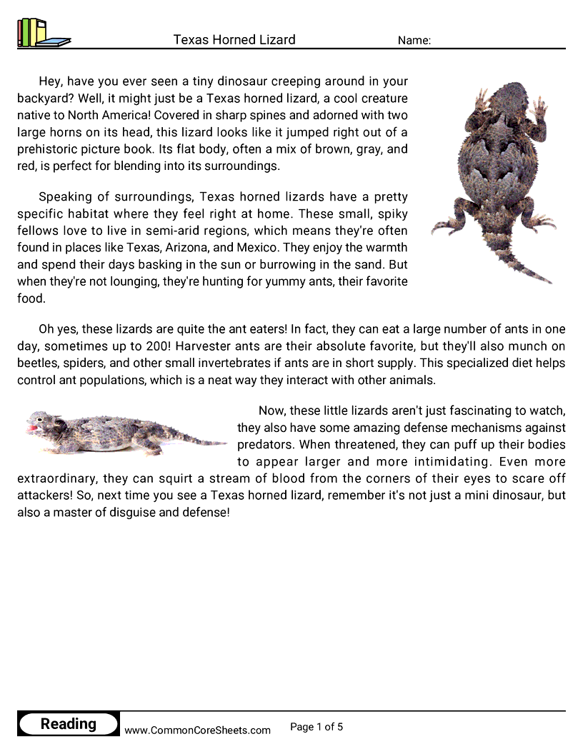Reading Comprehension Reptiles - Texas Horned Lizard worksheet