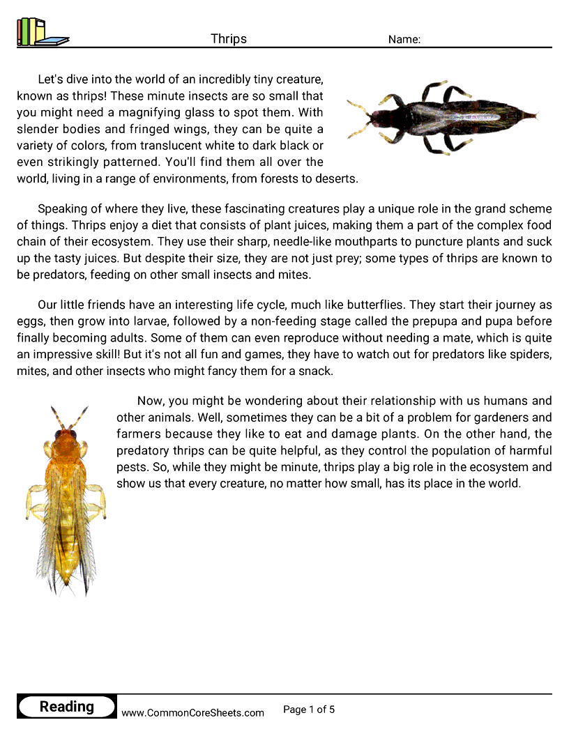 Reading Comprehension Insects Worksheets - Thrips worksheet
