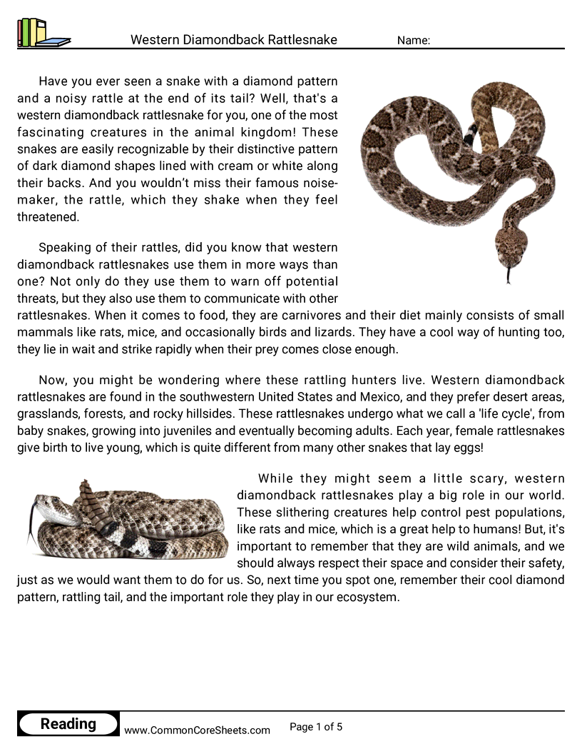 Reading Comprehension Reptiles - Western Diamondback Rattlesnake worksheet