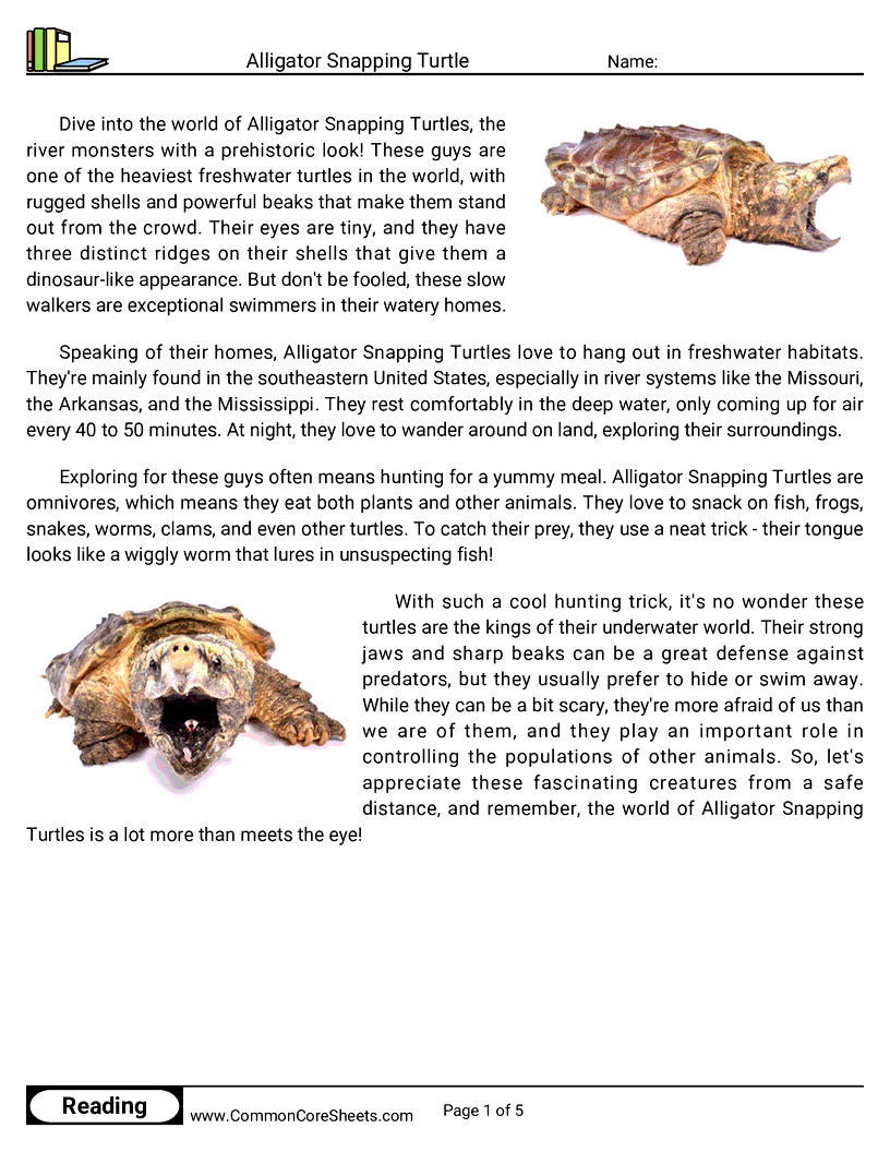 Reading Comprehension Reptiles - Alligator Snapping Turtle worksheet