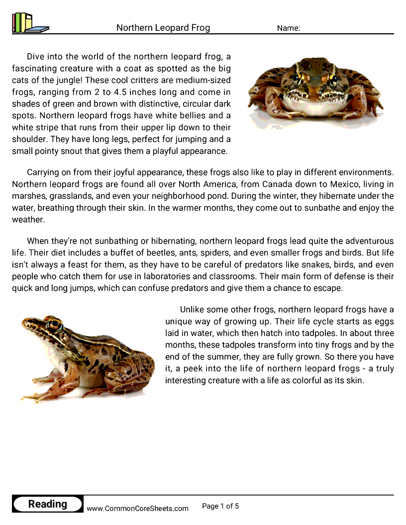 Reading Comprehension Reptiles - Northern Leopard Frog worksheet